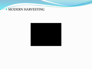  MODERN HARVESTING
 