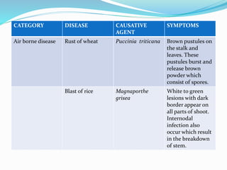 CATEGORY DISEASE CAUSATIVE
AGENT
SYMPTOMS
Air borne disease Rust of wheat Puccinia triticana Brown pustules on
the stalk and
leaves. These
pustules burst and
release brown
powder which
consist of spores.
Blast of rice Magnaporthe
grisea
White to green
lesions with dark
border appear on
all parts of shoot.
Internodal
infection also
occur which result
in the breakdown
of stem.
 