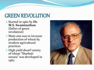 GREEN REVOLUTION
 Started in 1960 by Dr.
M.S. Swaminathan
(father of green
revolution)
 Main aim was to increase
production of wheat by
modern agricultural
practices
 High yield dwarf variety
of wheat “Sharbati
sonara” was developed in
1967.
 