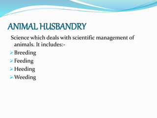 ANIMAL HUSBANDRY
Science which deals with scientific management of
animals. It includes:-
Breeding
Feeding
Heeding
Weeding
 