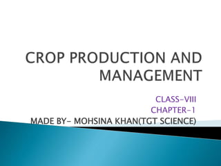 crop production ppt.pptx