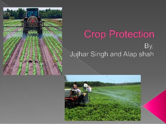 Crop Protection