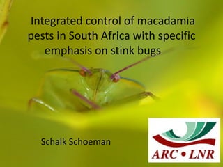 Integrated control of macadamia
pests in South Africa with specific
   emphasis on stink bugs




  Schalk Schoeman
 