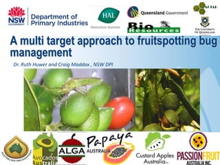A multi target approach to fruitspotting bug
management
Dr. Ruth Huwer and Craig Maddox , NSW DPI
 