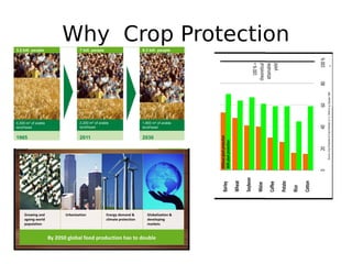 Why Crop Protection