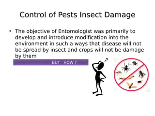 Control of Pests Insect Damage
• The objective of Entomologist was primarily to
develop and introduce modification into the
environment in such a ways that disease will not
be spread by insect and crops will not be damage
by them
BUT HOW ?