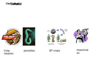Methods of● Cultural● Genetic
Crop
rotation
parasites BT crops Insecticid
es