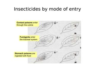 Insecticides by mode of entry
