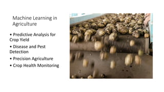 Machine Learning in
Agriculture
• Predictive Analysis for
Crop Yield
• Disease and Pest
Detection
• Precision Agriculture
• Crop Health Monitoring
 