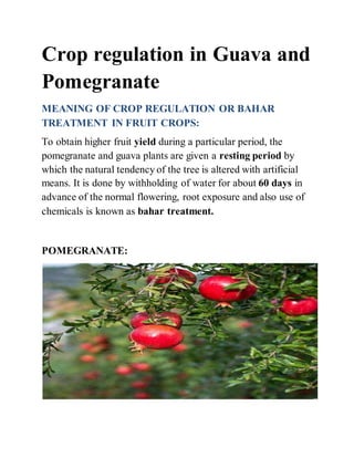 Crop regulation in Guava and
Pomegranate
MEANING OF CROP REGULATION OR BAHAR
TREATMENT IN FRUIT CROPS:
To obtain higher fruit yield during a particular period, the
pomegranate and guava plants are given a resting period by
which the natural tendency of the tree is altered with artificial
means. It is done by withholding of water for about 60 days in
advance of the normal flowering, root exposure and also use of
chemicals is known as bahar treatment.
POMEGRANATE:
 