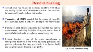 Strategies for Organic Waste Management in Rice – Wheat Cropping System ...