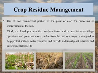 CROP RESIDUE MANAGEMANT AND ITS EFFECT ON SOIL HEALTH | PPTX