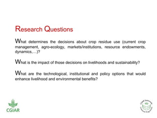 Crop residue tradeoffs in crop-livestock systems - Improving livelihood and environmental benefits from crop residues in smallholder crop-livestock systems in sub-Saharan Africa and South Asia: Regional case studies