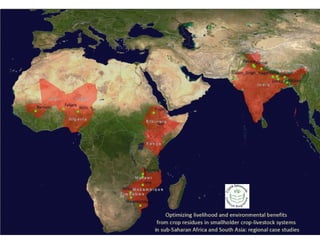 Crop residue tradeoffs in crop-livestock systems - Improving livelihood and environmental benefits from crop residues in smallholder crop-livestock systems in sub-Saharan Africa and South Asia: Regional case studies