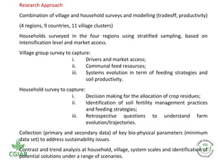 Crop residue tradeoffs in crop-livestock systems - Improving livelihood and environmental benefits from crop residues in smallholder crop-livestock systems in sub-Saharan Africa and South Asia: Regional case studies