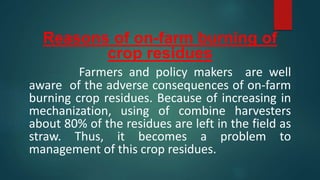 Reasons of on-farm burning of
crop residues
Farmers and policy makers are well
aware of the adverse consequences of on-farm
burning crop residues. Because of increasing in
mechanization, using of combine harvesters
about 80% of the residues are left in the field as
straw. Thus, it becomes a problem to
management of this crop residues.
 