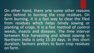 On other hand, there arte some other reasons
also behind to burning the crop residues. On
farm burning, it is a fast way to clear the filed
from residues which helps timely sowing or
planting of crops. It is a fast method of control
weeds, insects and diseases. The time interval
between Rice harvesting and wheat sowing in
Northern India is only 15-20 days. In this short
duration, farmers prefers to burn crop residues
on farm.
 