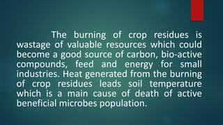 The burning of crop residues is
wastage of valuable resources which could
become a good source of carbon, bio-active
compounds, feed and energy for small
industries. Heat generated from the burning
of crop residues leads soil temperature
which is a main cause of death of active
beneficial microbes population.
 