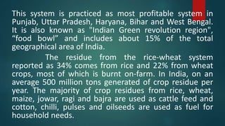 This system is practiced as most profitable system in
Punjab, Uttar Pradesh, Haryana, Bihar and West Bengal.
It is also known as "Indian Green revolution region",
“food bowl” and includes about 15% of the total
geographical area of India.
The residue from the rice-wheat system
reported as 34% comes from rice and 22% from wheat
crops, most of which is burnt on-farm. In India, on an
average 500 million tons generated of crop residue per
year. The majority of crop residues from rice, wheat,
maize, jowar, ragi and bajra are used as cattle feed and
cotton, chilli, pulses and oilseeds are used as fuel for
household needs.
 