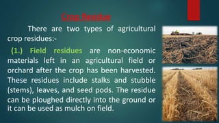 Crop Residue
There are two types of agricultural
crop residues:-
(1.) Field residues are non-economic
materials left in an agricultural field or
orchard after the crop has been harvested.
These residues include stalks and stubble
(stems), leaves, and seed pods. The residue
can be ploughed directly into the ground or
it can be used as mulch on field.
 