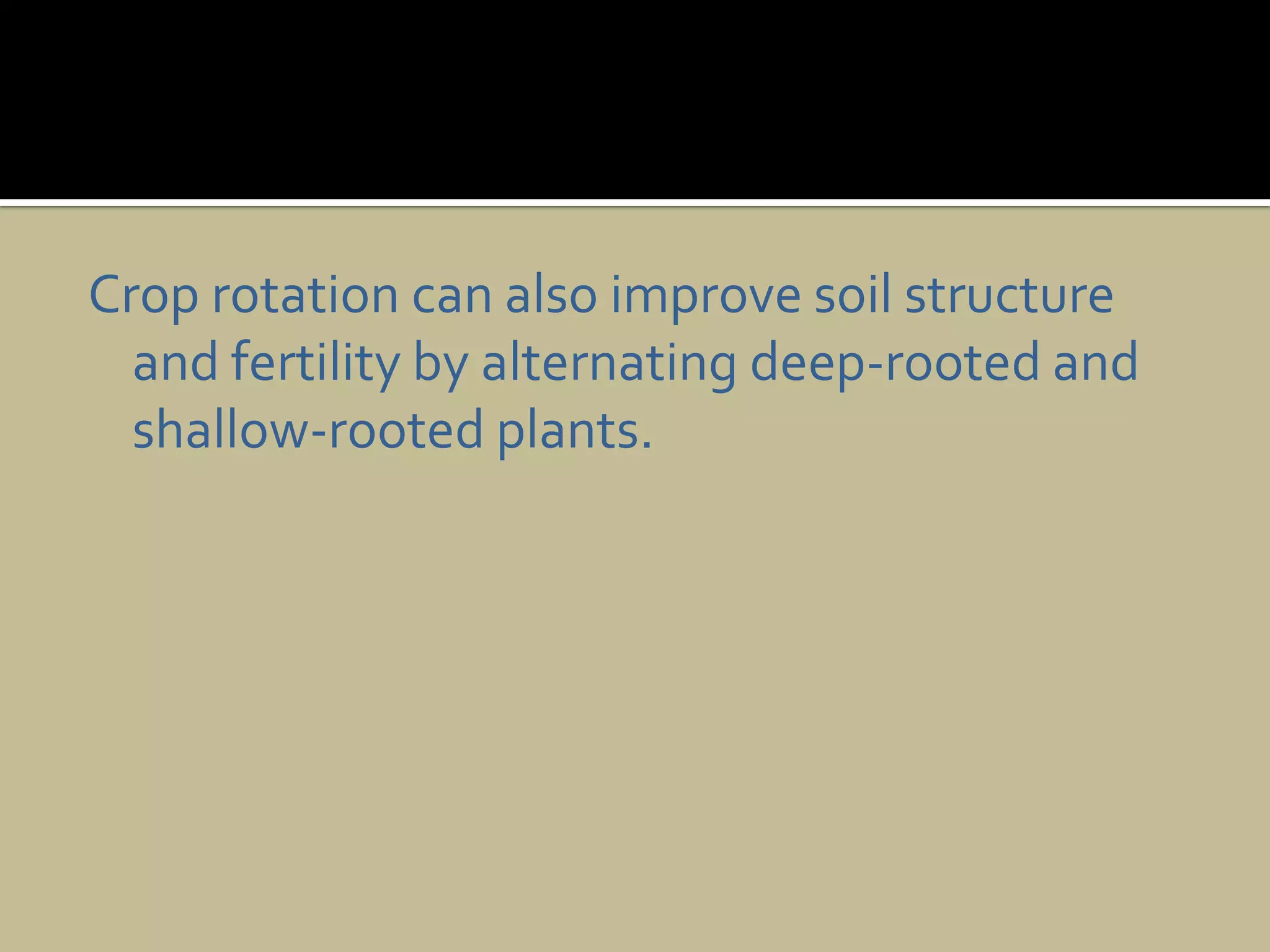 Crop rotation can also improve soil structure and fertility by alternating deep-rooted and shallow-rooted plants.