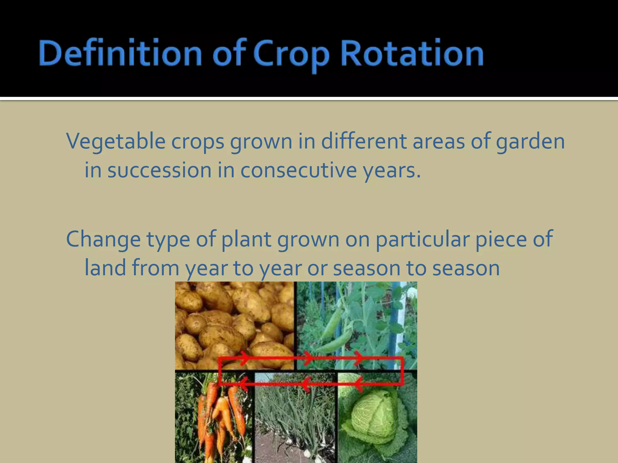 Definition of Crop RotationVegetable crops grown in different areas of garden in succession in consecutive years.Change type of plant grown on particular piece of land from year to year or season to season