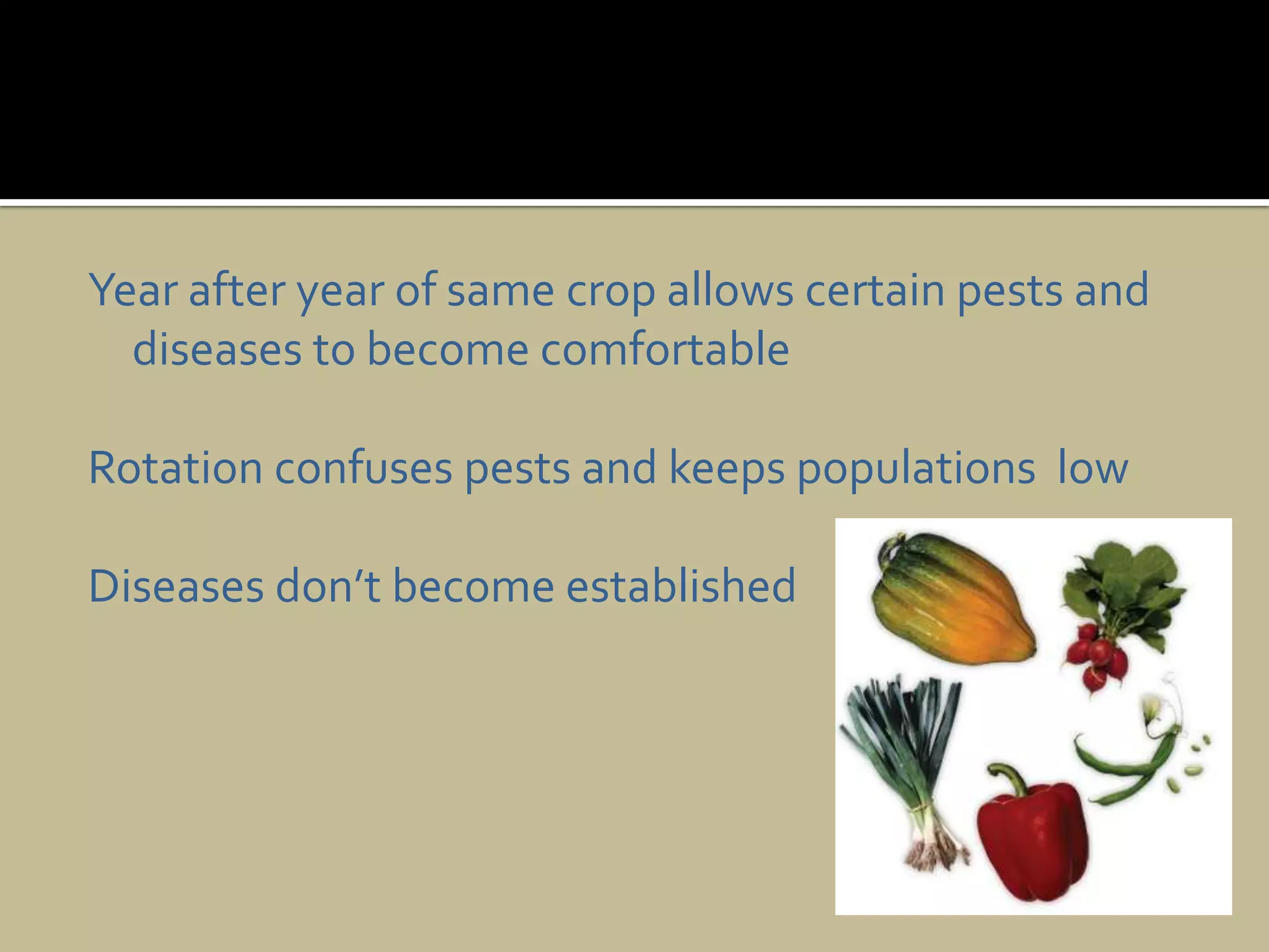 Year after year of same crop allows certain pests and diseases to become comfortable Rotation confuses pests and keeps populations  lowDiseases don’t become established