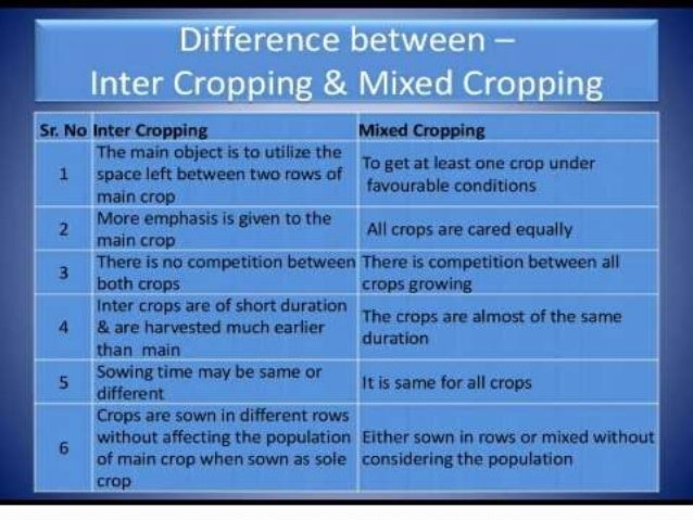 Crop Rotation Inplant