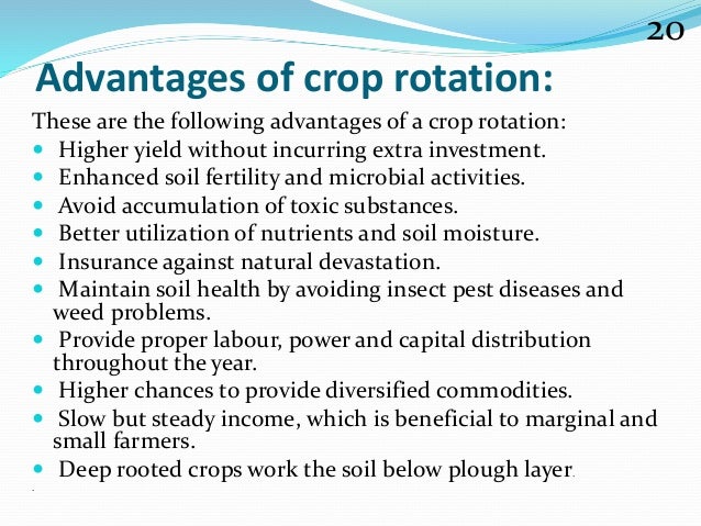 Crop Rotation Inplant