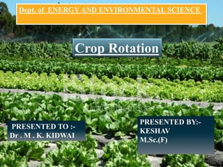 Crop Rotation
Dept. of ENERGY AND ENVIRONMENTAL SCIENCE
PRESENTED TO :-
Dr . M . K. KIDWAI
PRESENTED BY:-
KESHAV
M.Sc.(F)
 