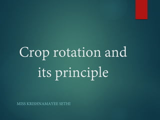 Crop rotation and
its principle
MISS KRISHNAMAYEE SETHI
 