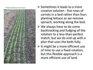 Photo Kathryn Simmons  Sometimes it leads to a more
creative solution - five rows of
carrots in a bed rather than four;
planting lettuce as we remove
spinach, working along the bed.
 We always have to do some
backtracking and fudging of the
rotation to a less-than-perfect
match, but we do end up with a
plan that uses the beds fully.
 It might be a more efficient use
of time to use a fixed rotation,
but this flexible approach is a
more efficient use of land.
 