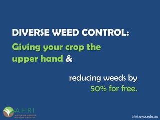 ahri.uwa.edu.au
DIVERSE WEED CONTROL:
Giving your crop the
upper hand &
reducing weeds by
50% for free.
AUSTRALIAN HERBICIDE
RESISTANCE INITIATIVE
 