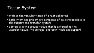 Tissue System
• stele is the vascular tissue of a root collected
• both xylem and phloem are composed of cells responsible in
the support and transfer system
• Cortex is in the ground tissue that is external to the
vascular tissue; the storage, photosynthesis and support
 