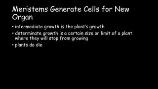 Meristems Generate Cells for New
Organ
• intermediate growth is the plant’s growth
• determinate growth is a certain size or limit of a plant
where they will stop from growing
• plants do die
 