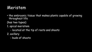 Meristem
• the embryonic tissue that makes plants capable of growing
throughout life
(has two types)
1. apical meristem
- located at the tip of roots and shoots
2. axillary
- buds of shoots
 