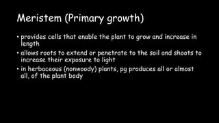 Meristem (Primary growth)
• provides cells that enable the plant to grow and increase in
length
• allows roots to extend or penetrate to the soil and shoots to
increase their exposure to light
• in herbaceous (nonwoody) plants, pg produces all or almost
all, of the plant body
 