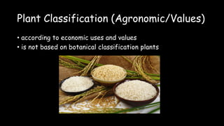 Plant Classification (Agronomic/Values)
• according to economic uses and values
• is not based on botanical classification plants
 
