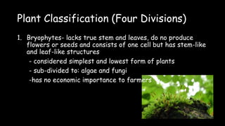 Plant Classification (Four Divisions)
1. Bryophytes- lacks true stem and leaves, do no produce
flowers or seeds and consists of one cell but has stem-like
and leaf-like structures
- considered simplest and lowest form of plants
- sub-divided to: algae and fungi
-has no economic importance to farmers
 