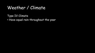 Weather / Climate
Type IV Climate
• Have equal rain throughout the year
 