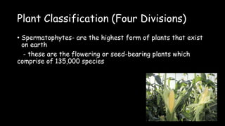 Plant Classification (Four Divisions)
• Spermatophytes- are the highest form of plants that exist
on earth
- these are the flowering or seed-bearing plants which
comprise of 135,000 species
 