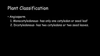 Plant Classification
• Angiosperm
1. Monocotyledonous- has only one cotyledon or seed leaf
2. Dicotyledonous- has two cotyledons or two seed leaves.
 