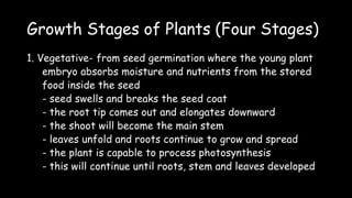 Growth Stages of Plants (Four Stages)
1. Vegetative- from seed germination where the young plant
embryo absorbs moisture and nutrients from the stored
food inside the seed
- seed swells and breaks the seed coat
- the root tip comes out and elongates downward
- the shoot will become the main stem
- leaves unfold and roots continue to grow and spread
- the plant is capable to process photosynthesis
- this will continue until roots, stem and leaves developed
 