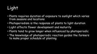 Light
• Plants requires duration of exposure to sunlight which varies
from seasons and locations
• Photoperiodism is the response of plants to light duration
• Light affects flower development and maturity
• Plants tend to grow longer when influenced by photoperiodic
• The knowledge of photoperiodic reaction guides the farmers
to make proper schedule of planting
 