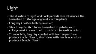 Light
• The duration of light and dark periods also influences the
formation of storage organ of certain plants
• Long days hasten bulbing in onion;
• Short days hasten tuber formation in potato, root
enlargement in sweet potato and corn formation in taro
• In cucurbits, long day coupled with low temperature
produces male flower, short days with low temperature
produces female flower
 