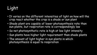 Light
• It varies on the different intensities of light on how will the
crop react whether the crop is a shade or sun plant
• Shade plant are capable of lower photosynthesis rate than
sun plants, but respiration rate is correspondingly low
• So net photosynthetic rate is high at low light intensity
• Sun plants have higher light requirement than shade plants
• The amount of light higher in sun plants in which
photosynthesis is equal to respiration
 
