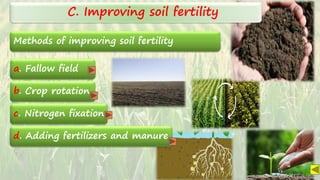 SARITA C
Methods of improving soil fertility
a. Fallow field
c. Nitrogen fixation
b. Crop rotation
C. Improving soil fertility
d. Adding fertilizers and manure
SARITA C
 