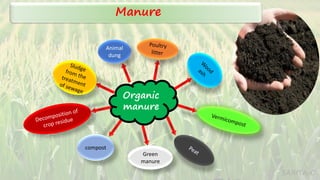 Organic
manure
Animal
dung
compost
Green
manure
Manure
SARITA C
 