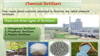 Chemical fertilizers
Man-made plant nutrients produced in factories are called chemical
fertilizers.
1.Nitrogenous fertilizers
2.Phosphatic fertilizers
3.Potassic fertilizers
SARITA C
There are three types of fertilizers
 