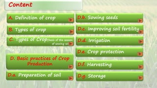 Content
A. Definition of crop
B. Types of crop
D.b. Sowing seeds
D.c. Improving soil fertility
C. Types of Crop(basis of the season
of sowing wing)
D. Basic practices of Crop
Production
D.a. Preparation of soil D.g. Storage
D.f. Harvesting
D.e. Crop protection
D.d. Irrigation
SARITA C
 